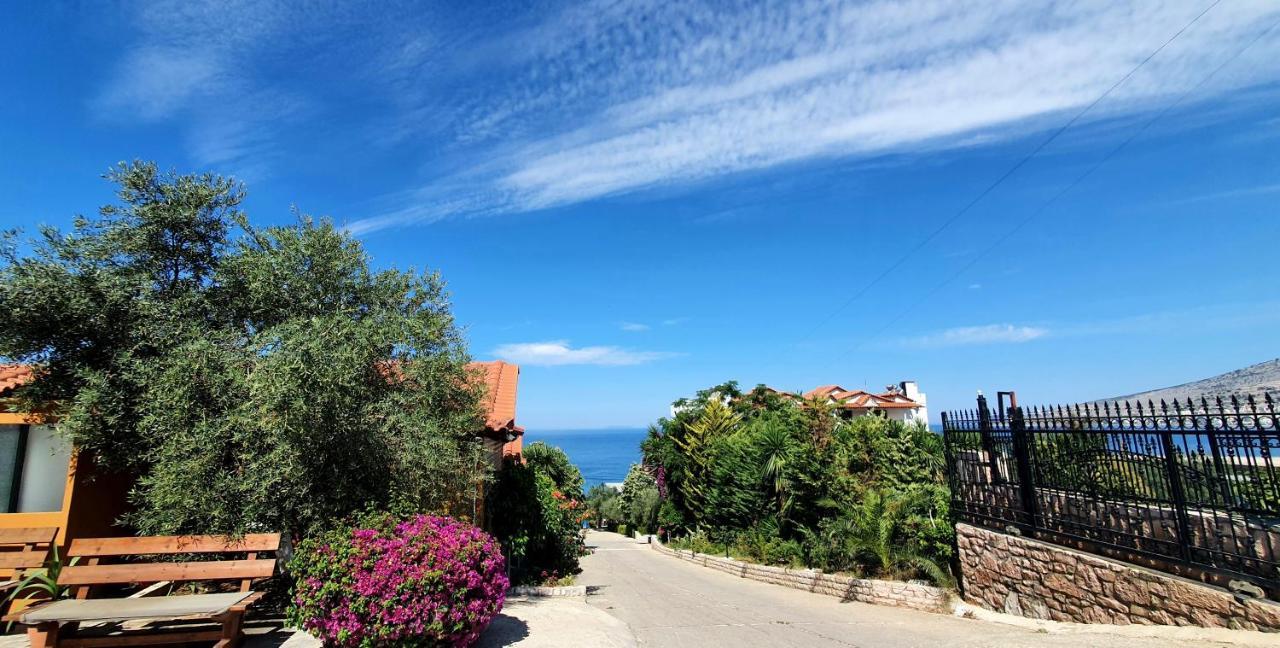 Villa Skenderi Sarandë 外观 照片