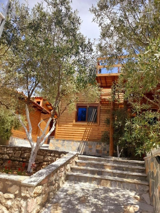 Villa Skenderi Sarandë 外观 照片